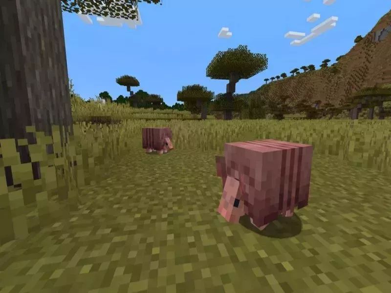 Tải Minecraft 1.21.0 APK Tiếng Việt Miễn Phí Cho Android 4 Armadillo là sinh vật mới của quần xã Savana trong Minecraft 1.21.0 APK