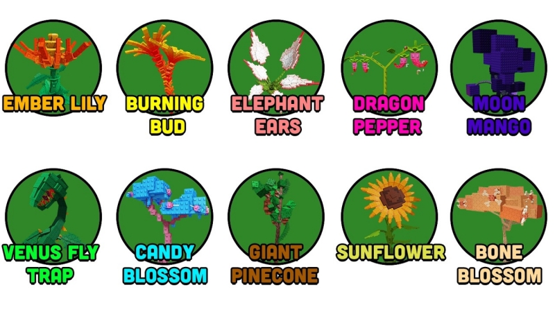 Tất cả Cây Ma Thuật (Magical Plants) trong Grow a Garden 1 Cây Ma Thuật Grow a Garden