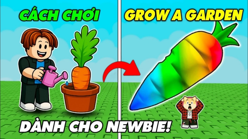 Mẹo chơi Grow A Garden dễ hiểu, dễ áp dụng cho tân thủ 6 Mẹo chơi Grow A Garden