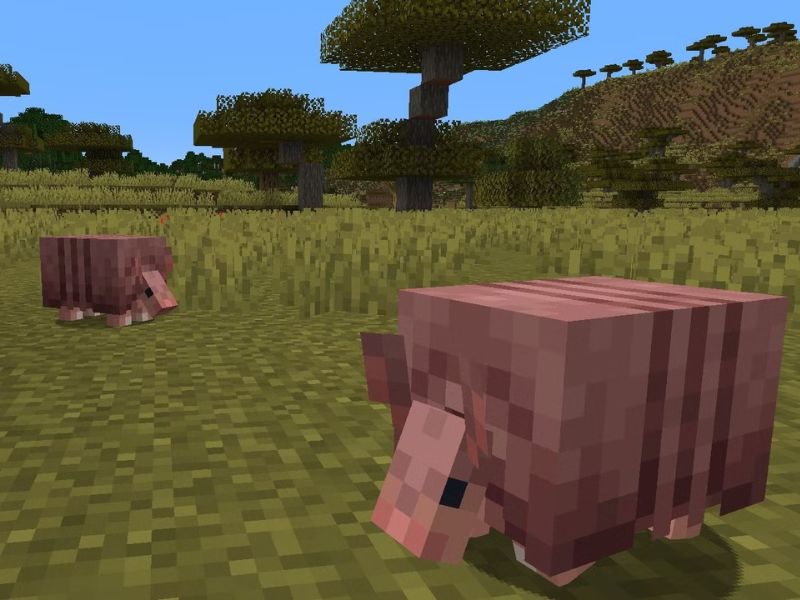 Tải Minecraft 1.20.51 APK Tiếng Việt Miễn Phí Cho Android 2 Thử Nghiệm Tính Năng Mới Với Armadillo Trong Minecraft 1.20.51 APK