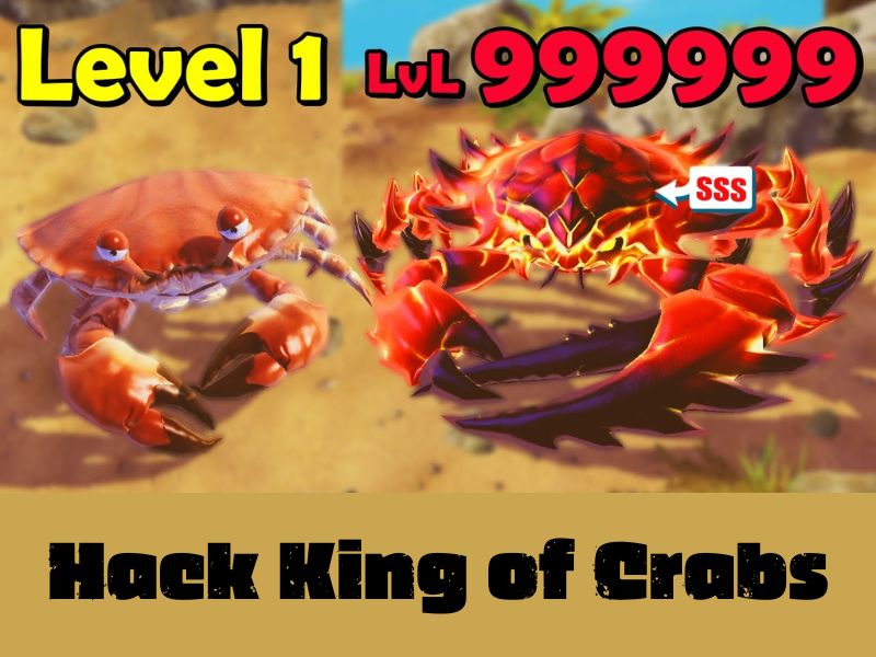 Tải Hack King of Crabs (Vô Hạn Tiền, Mở Khóa Full Cua) v1.21.0 3 Tính năng trong Hack King of Crabs có gì vượt trội?