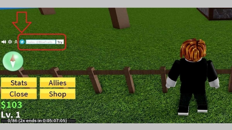 Code Blox Fruits (Reset Chỉ Số) Update 27 Nhận x2 EXP 8 Code Blox Fruits